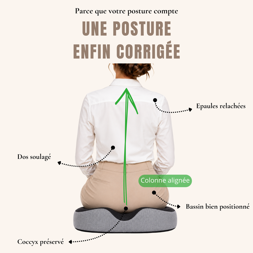 ELYNE Assise